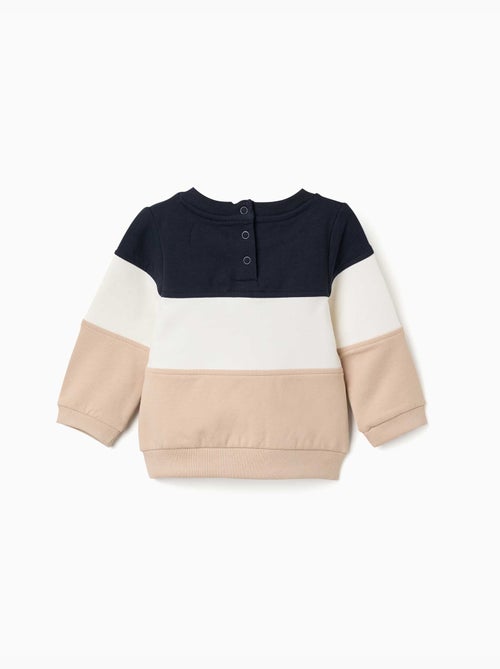 Sweat en coton peigné avec bloc de couleurs - Kiabi Sweat en coton peigné avec bloc de couleurs - Kiabi