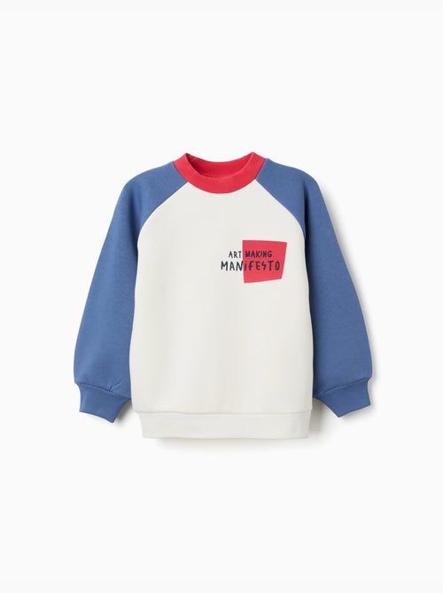 Sweat en coton peigné avec imprimé art manifesto - Kiabi Sweat en coton peigné avec imprimé art manifesto - Kiabi