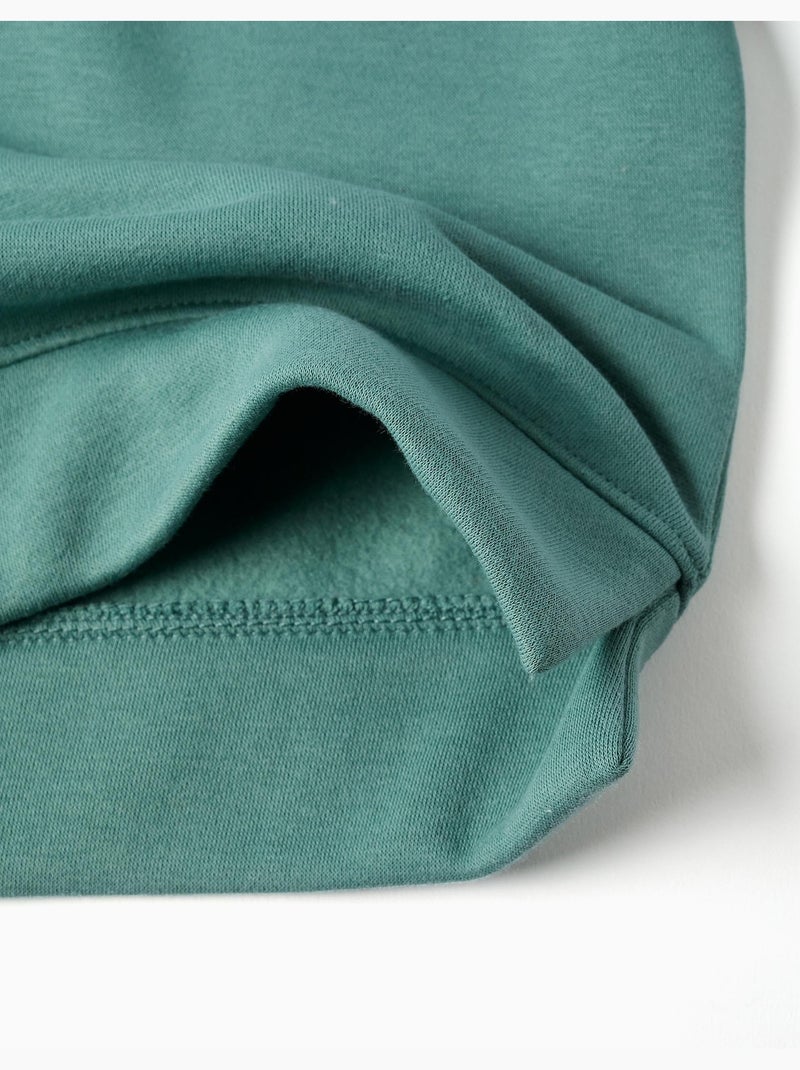 Sweat en coton peigné avec motif art et nature Vert clair - Kiabi