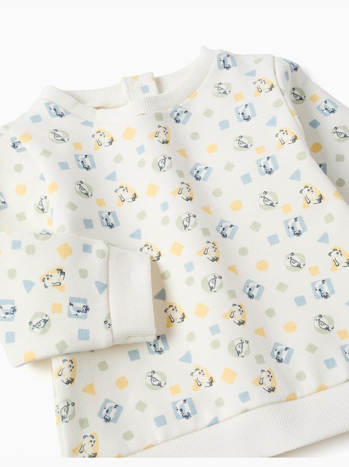 Sweat en coton peigné avec motif coloré - Kiabi Sweat en coton peigné avec motif coloré - Kiabi