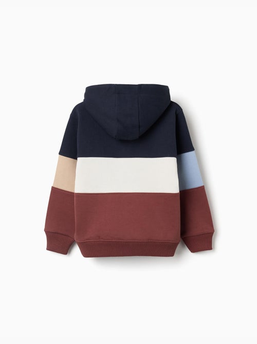 Sweat en molleton à capuche et blocs de couleur - Kiabi Sweat en molleton à capuche et blocs de couleur - Kiabi