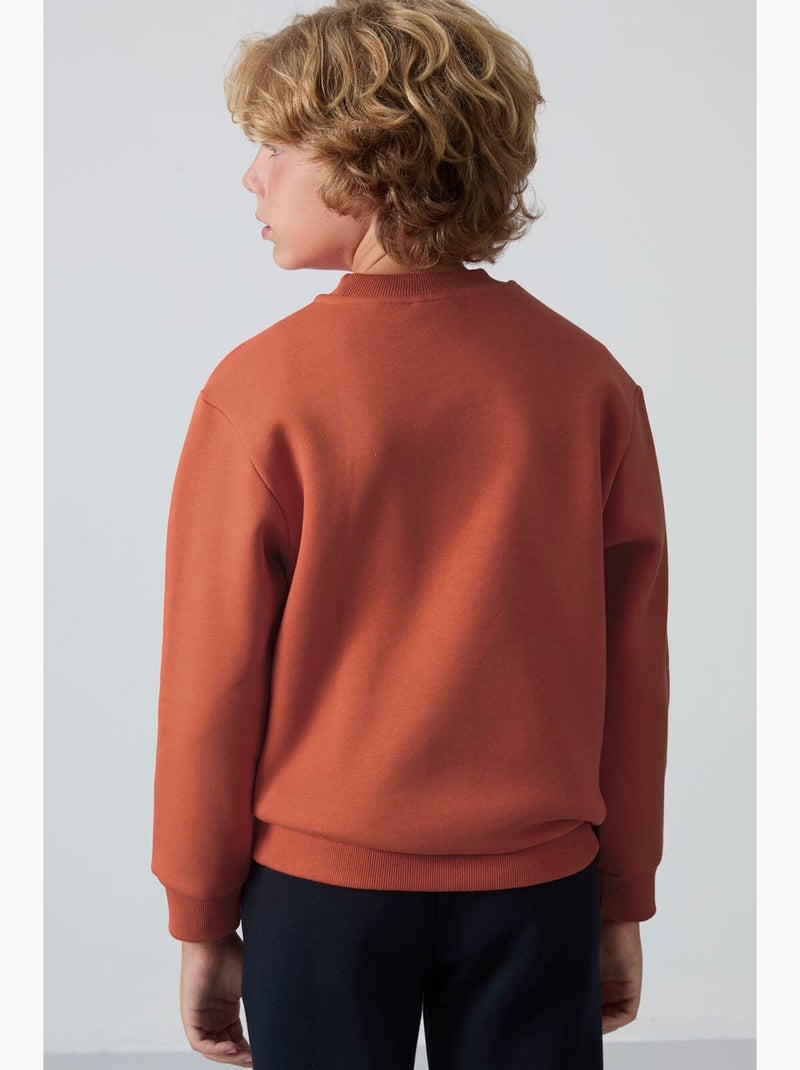 Sweat enfant à col rond brodé tommy Terracotta - Kiabi