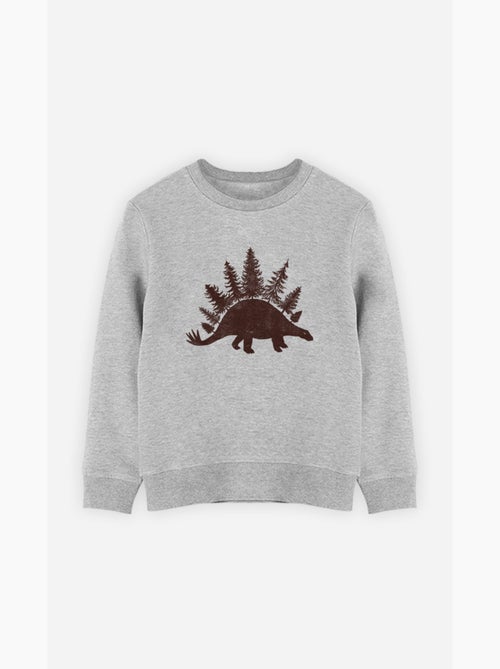 Sweat Enfant STEGOFOREST - Kiabi Sweat Enfant STEGOFOREST - Kiabi