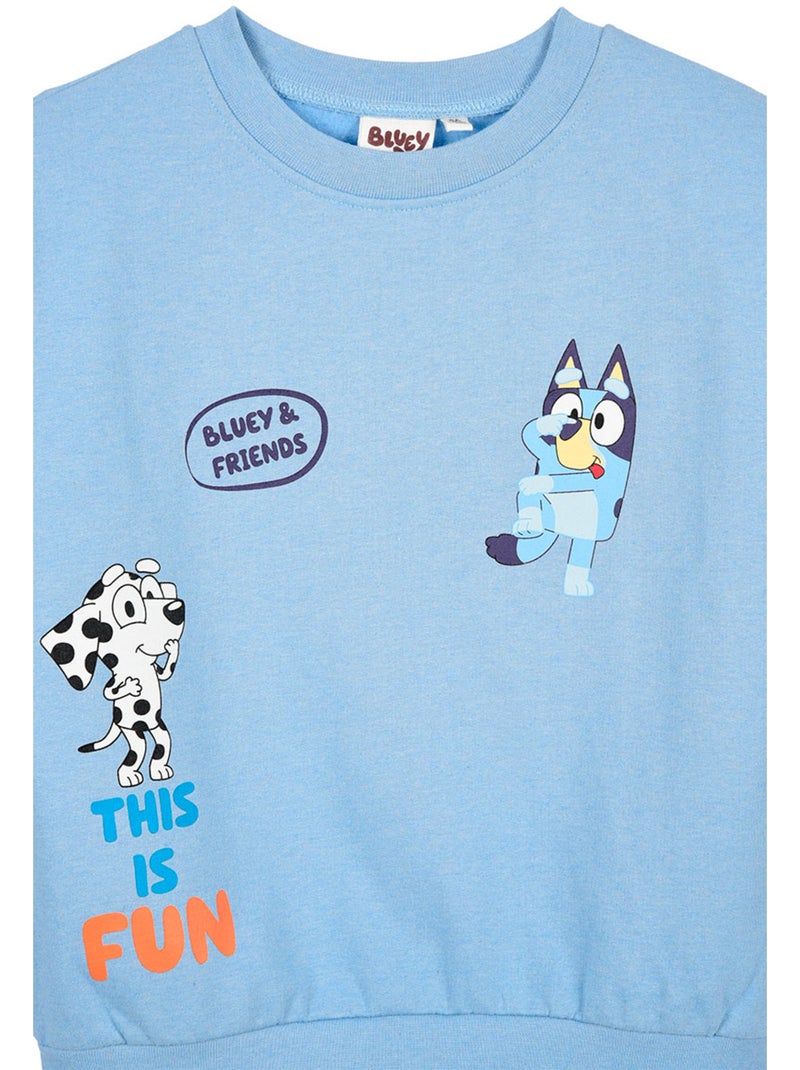 Sweat   garçon Bluey - Licence officielle Bleu - Kiabi