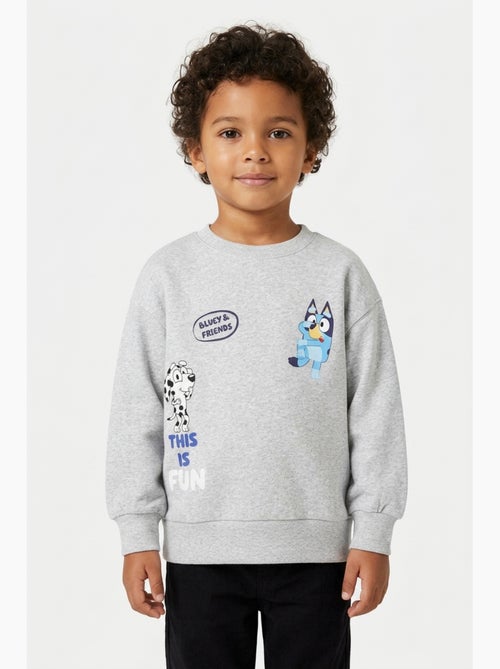 Sweat garçon Bluey - Licence officielle - Kiabi Sweat garçon Bluey - Licence officielle - Kiabi