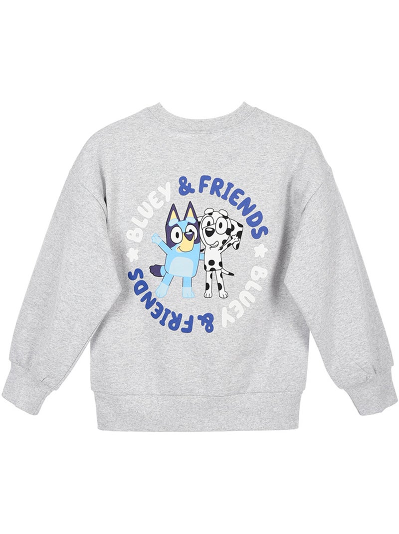 Sweat   garçon Bluey - Licence officielle Gris - Kiabi