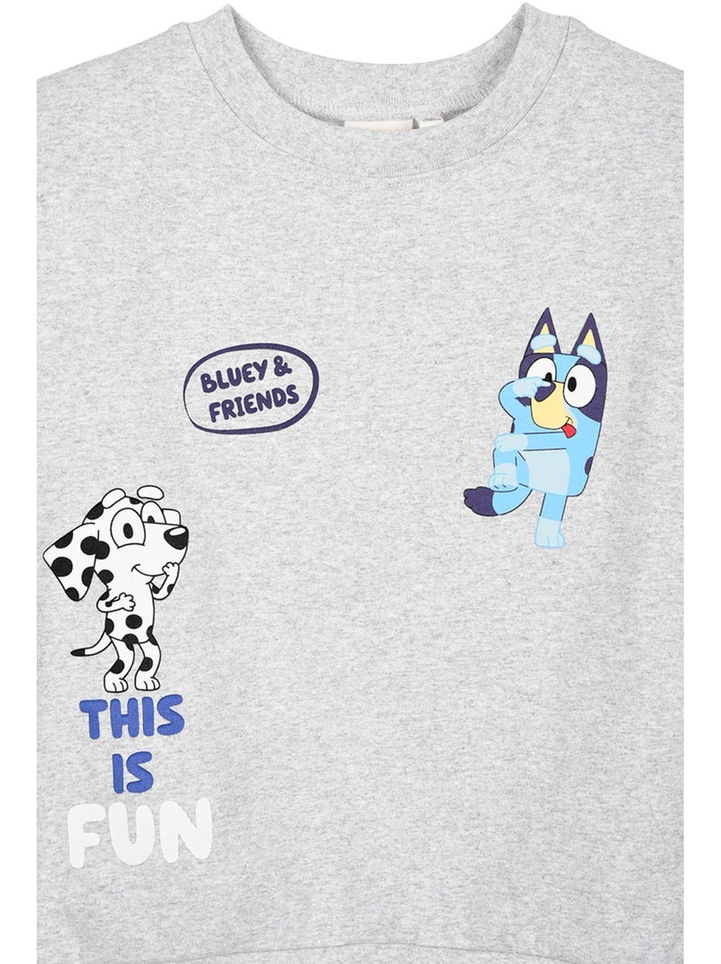 Sweat   garçon Bluey - Licence officielle Gris - Kiabi