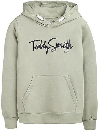 Sweat à capuche garçon teddy smith