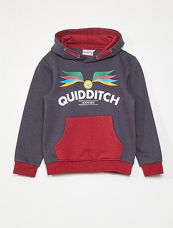 Sweat 'Harry Potter' à capuche - Kiabi