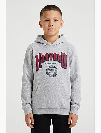 Sweat Harvard| Licence Officielle