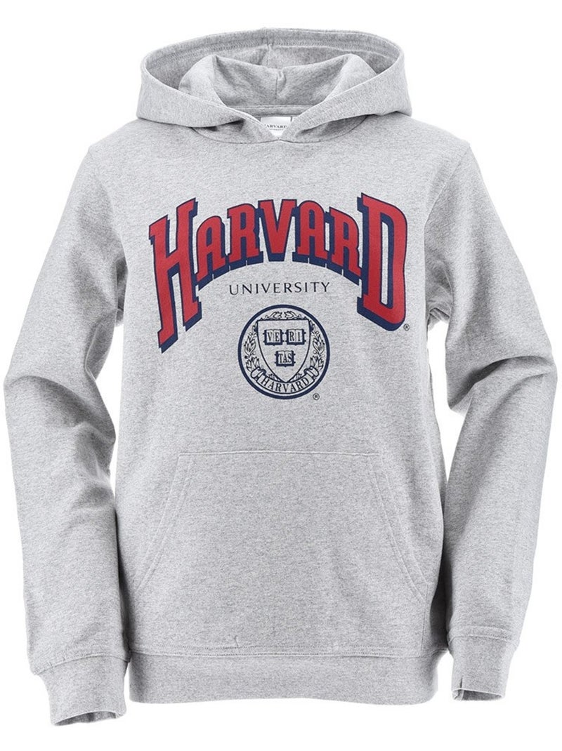Sweat Harvard| Licence Officielle Gris - Kiabi