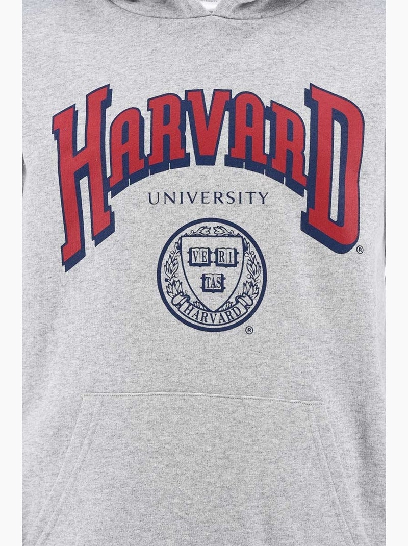 Sweat Harvard| Licence Officielle Gris - Kiabi