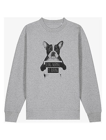 Sweat Homme - BEING NORMAL IS BORING