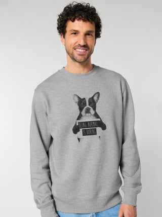 Sweat Homme - BEING NORMAL IS BORING