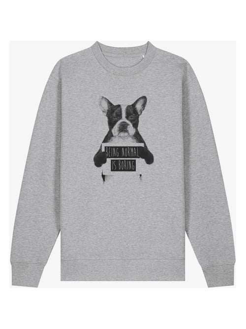 Sweat Homme - BEING NORMAL IS BORING - Kiabi