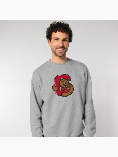 Sweat Homme - CORNELL UNIVERSITY C BEAR - Kiabi