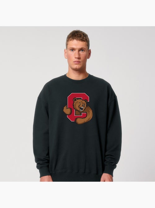 Sweat Homme - CORNELL UNIVERSITY C BEAR - Kiabi