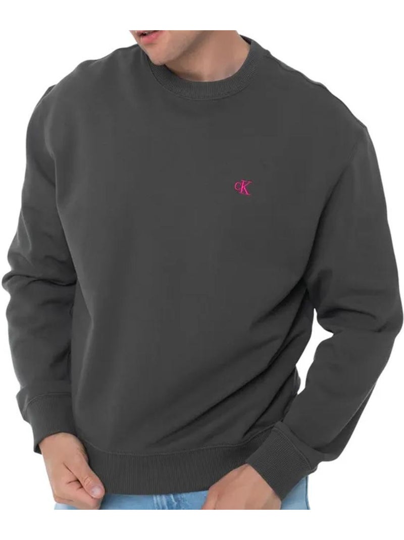 Sweat Homme Calvin Klein Gris Argenté - Kiabi