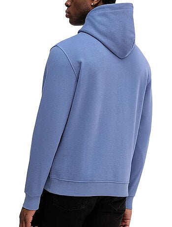 Sweats à Capuche Homme Tommy Hilfiger Linear