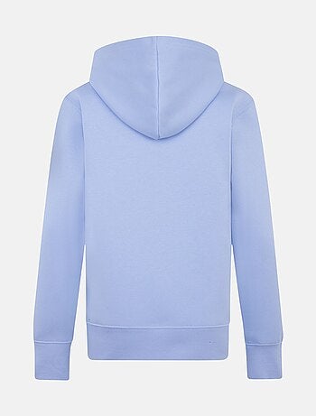 Sweat Jordan à capuche