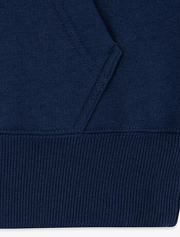 Sweat Levi's Kids à capuche