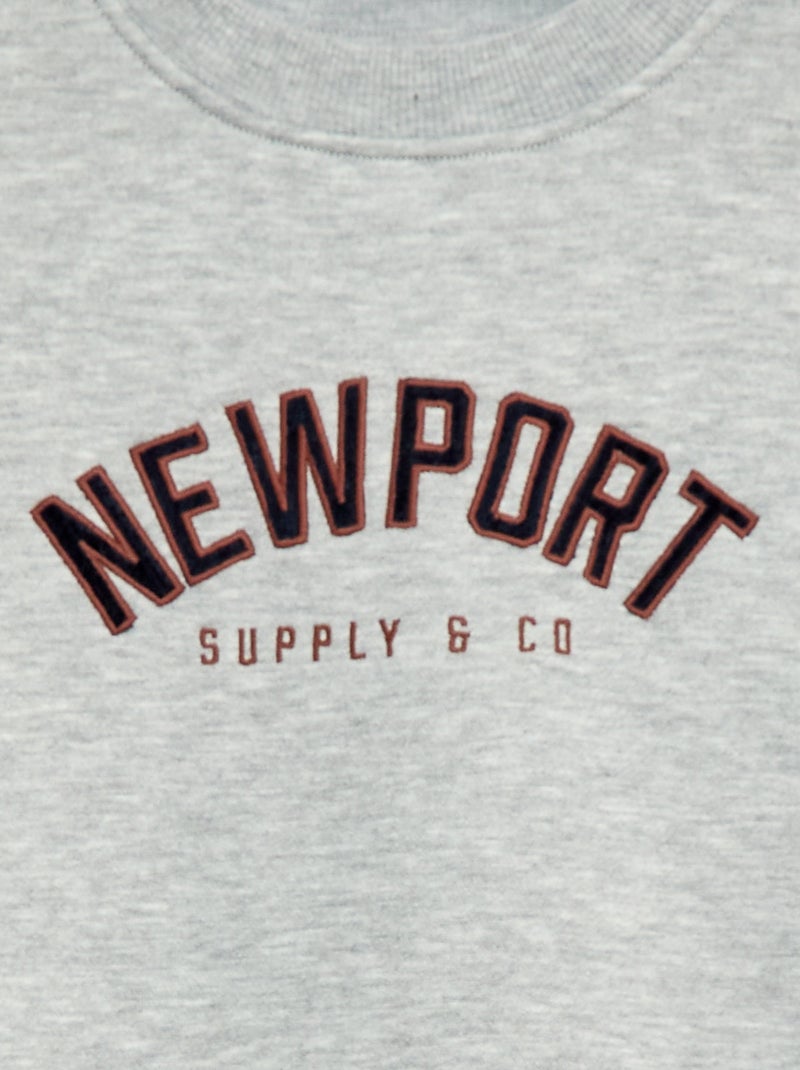 Sweat molleton avec imprimé velours Gris - Kiabi