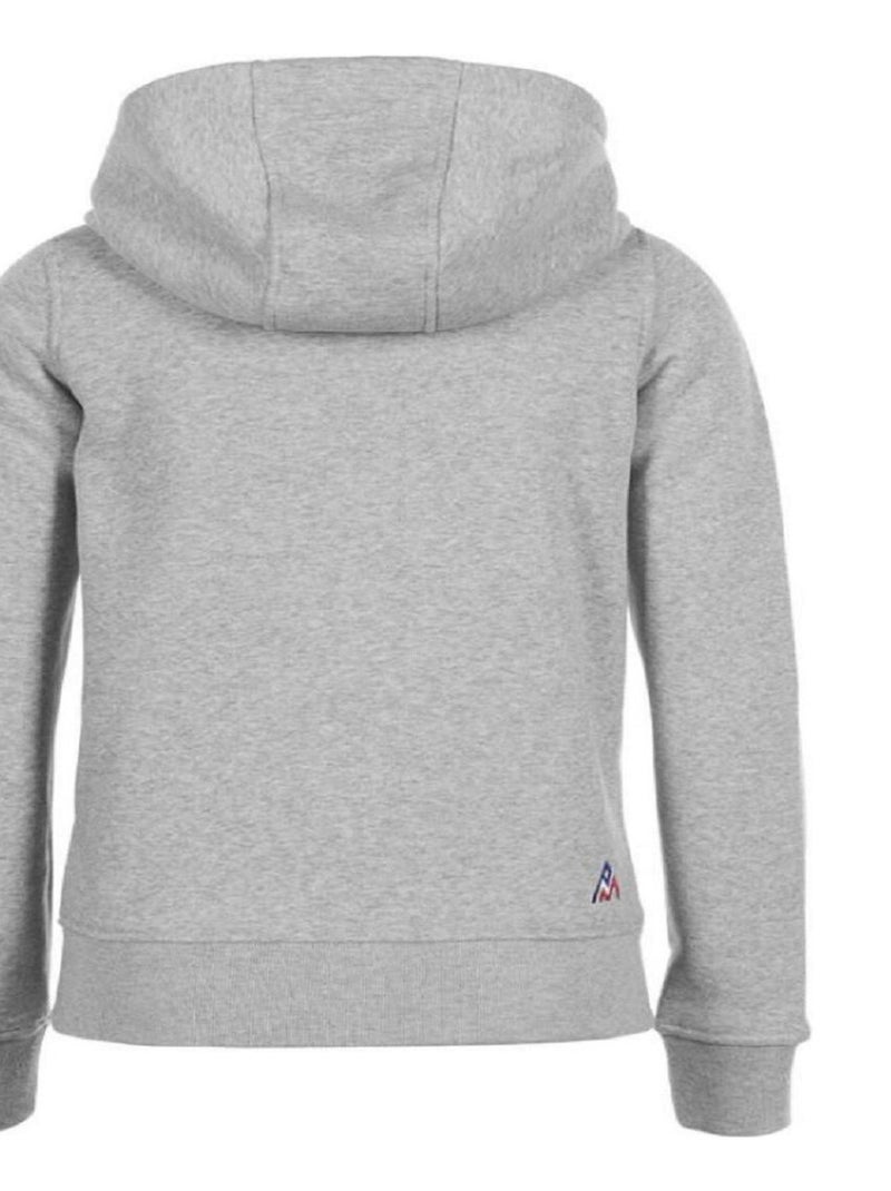 Sweat molleton zippé à capuche   APILOT - PEAK MOUNTAIN Gris - Kiabi