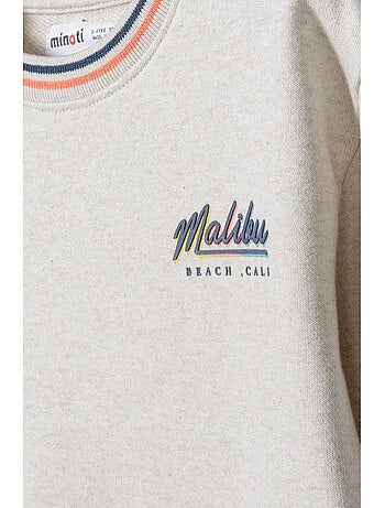 Sweat motif/style imprimé sur poitrine - minoti