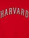    Sweat oversize 'Harvard University' vue 2
