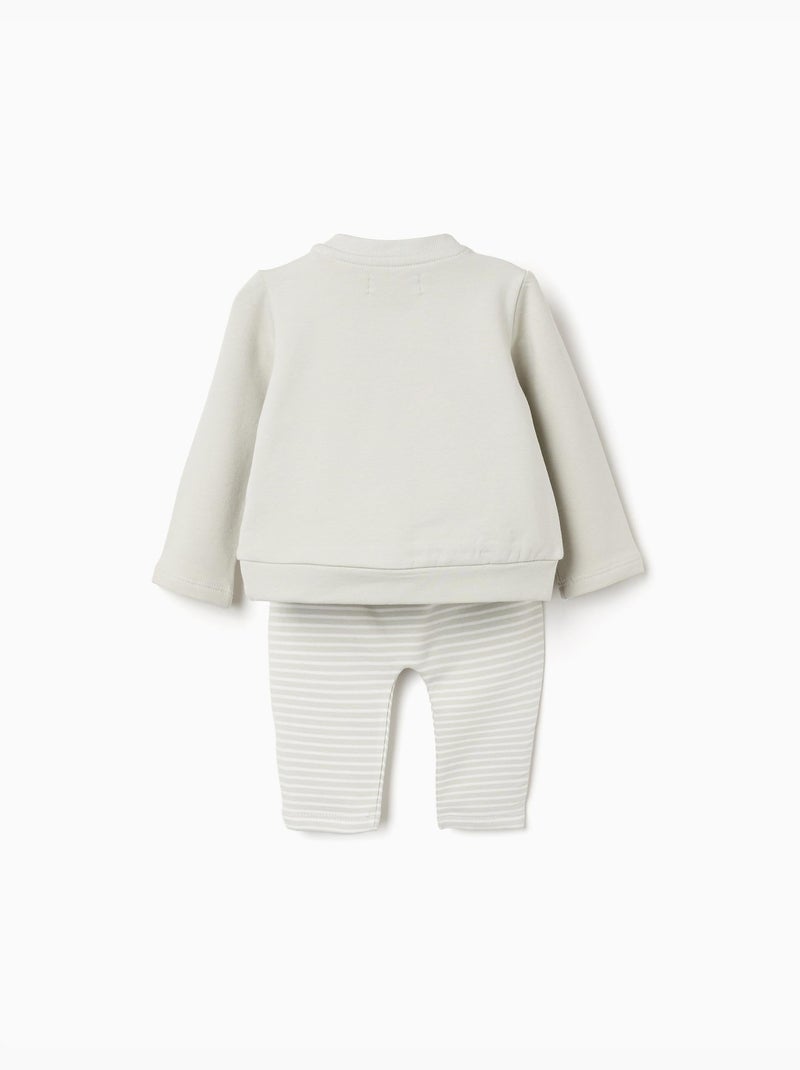 Sweat + pantalon en coton peigné Vert clair - Kiabi