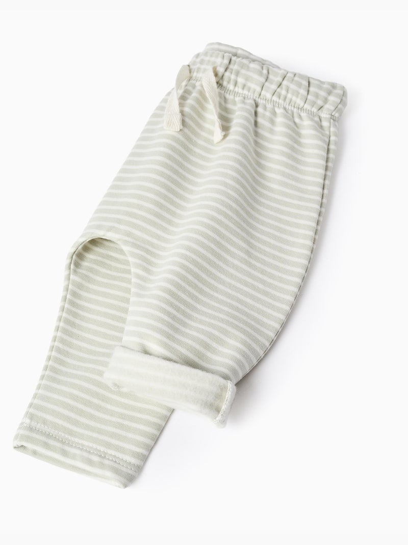 Sweat + pantalon en coton peigné Vert clair - Kiabi
