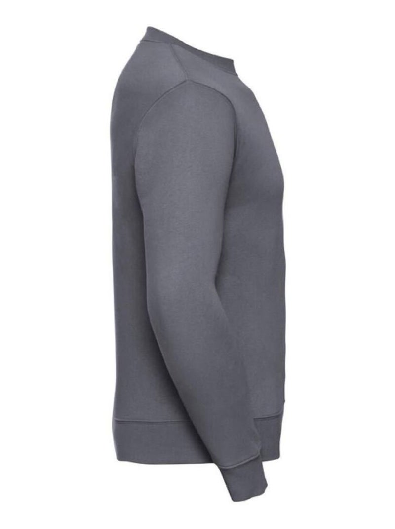 Sweat-shirt authentique pour hommes (coupe plus fine) - russell Gris foncé - Kiabi