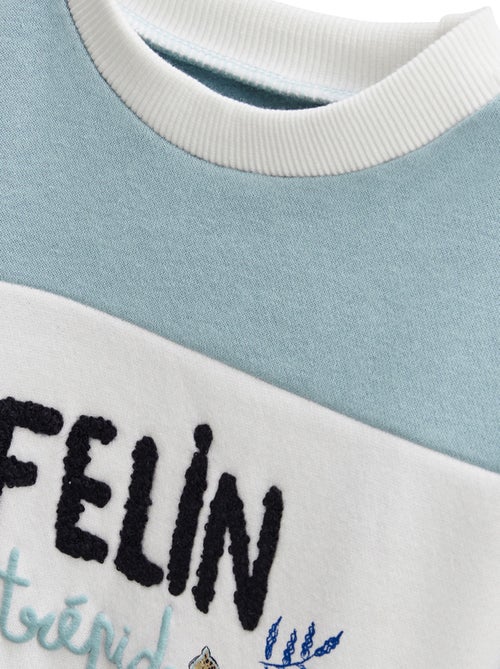 Sweat-shirt bébé en molleton Félintrépide - Kiabi