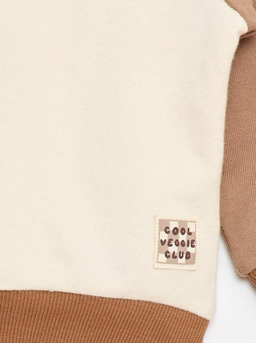 Sweat-shirt bicolore en molleton non gratté - Kiabi