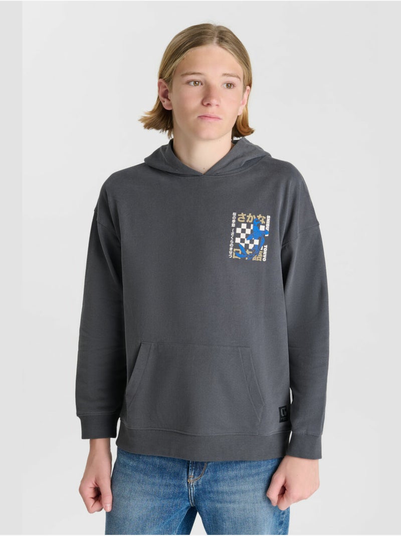 Sweat-shirt capuche istrebo 'le temps des cerises' Gris - Kiabi