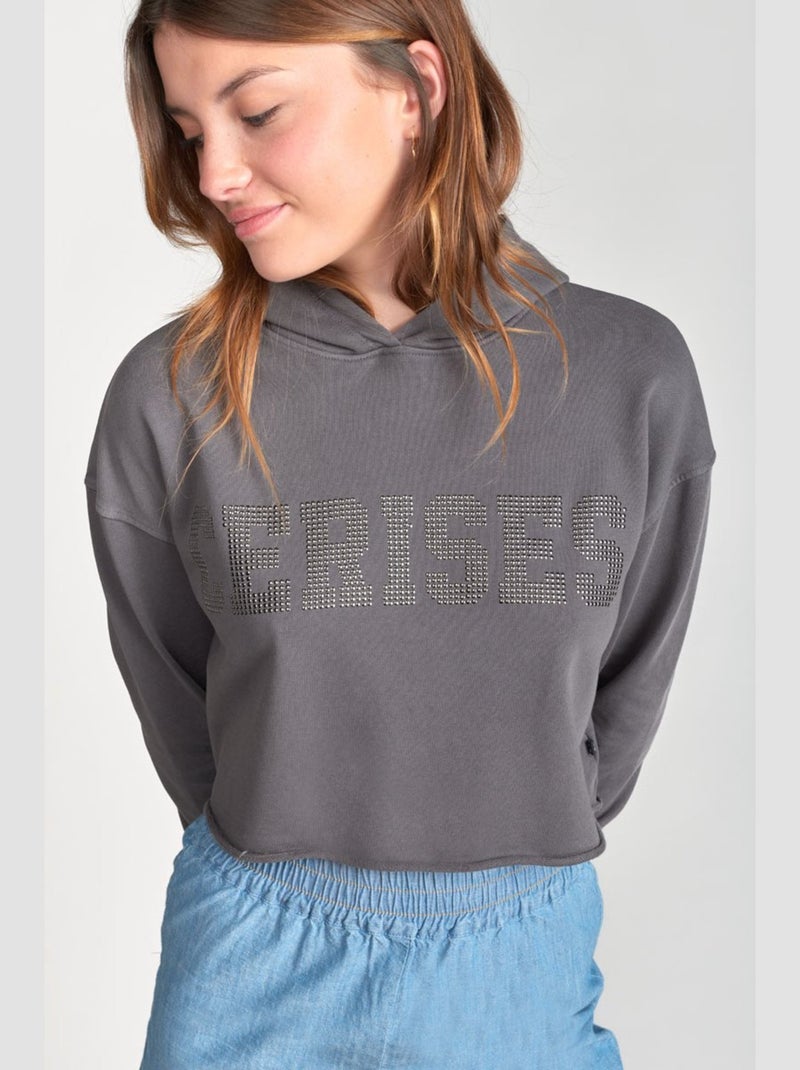 Sweat-Shirt capuche JAINEGI 'Le Temps Des Cerises' Gris - Kiabi