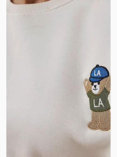 Sweat-shirt en coton brodé hiccup - Kiabi Sweat-shirt en coton brodé hiccup - Kiabi