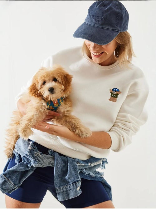 Sweat-shirt en fil brodé lucci - Kiabi