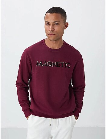 Sweat-shirt homme imprimé à col rond tommy