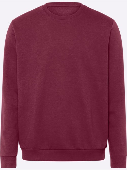 Sweat-shirt manches et ourlet à bords-côtes extensibles - taille standard - moda vilona - Kiabi Sweat-shirt manches et ourlet à bords-côtes extensibles - taille standard - moda vilona - Kiabi