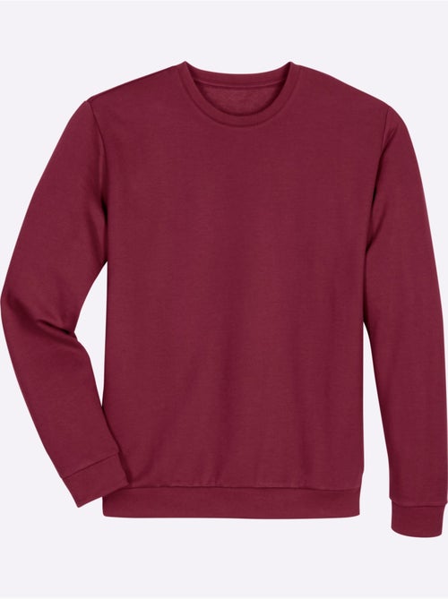 Sweat-shirt manches et ourlet à bords-côtes extensibles - taille standard - moda vilona - Kiabi Sweat-shirt manches et ourlet à bords-côtes extensibles - taille standard - moda vilona - Kiabi