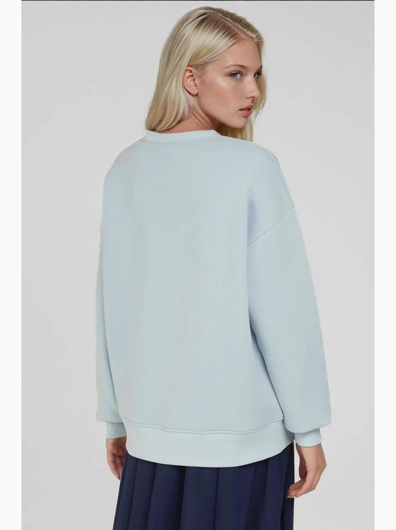 Sweat-shirt ras du cou brodé à motif animalier confortable hiccup Bleu pastel - Kiabi