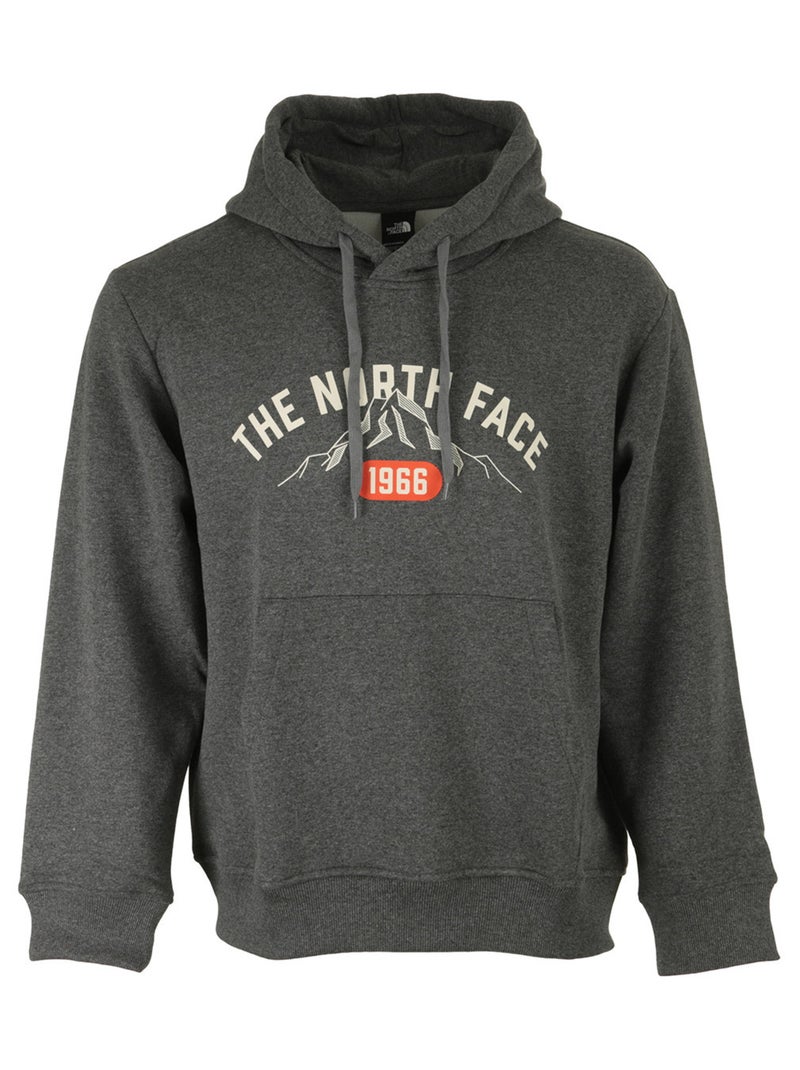 Sweat The North Face M Hoodie Varsity Graphic Gris - Kiabi