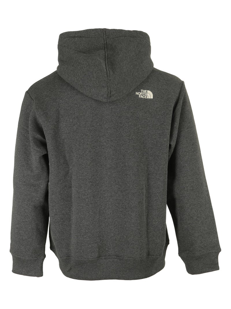 Sweat The North Face M Hoodie Varsity Graphic Gris - Kiabi