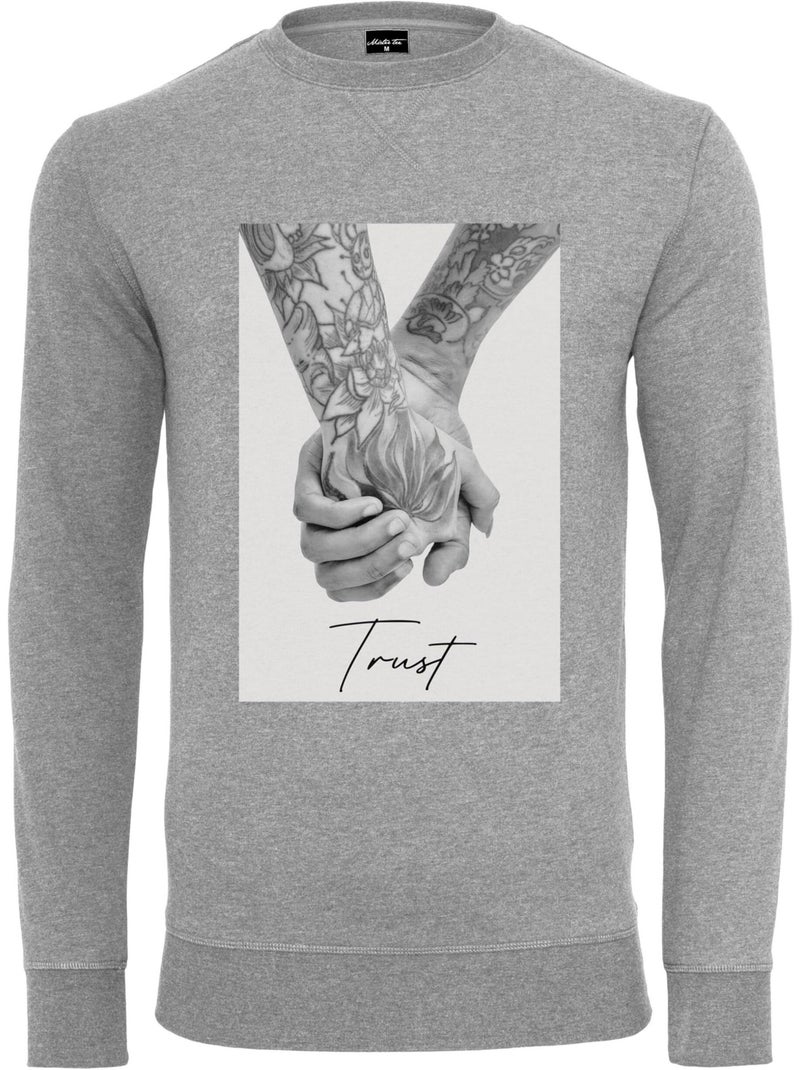 Sweat trust 2.0 - mister tee Gris - Kiabi
