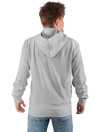 Sweat zippé à capuche homme en french terry imprimé poitrine liam freegun