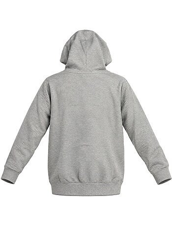 Sweat zippé à capuche junior en french terry imprimé poitrine liam freegun