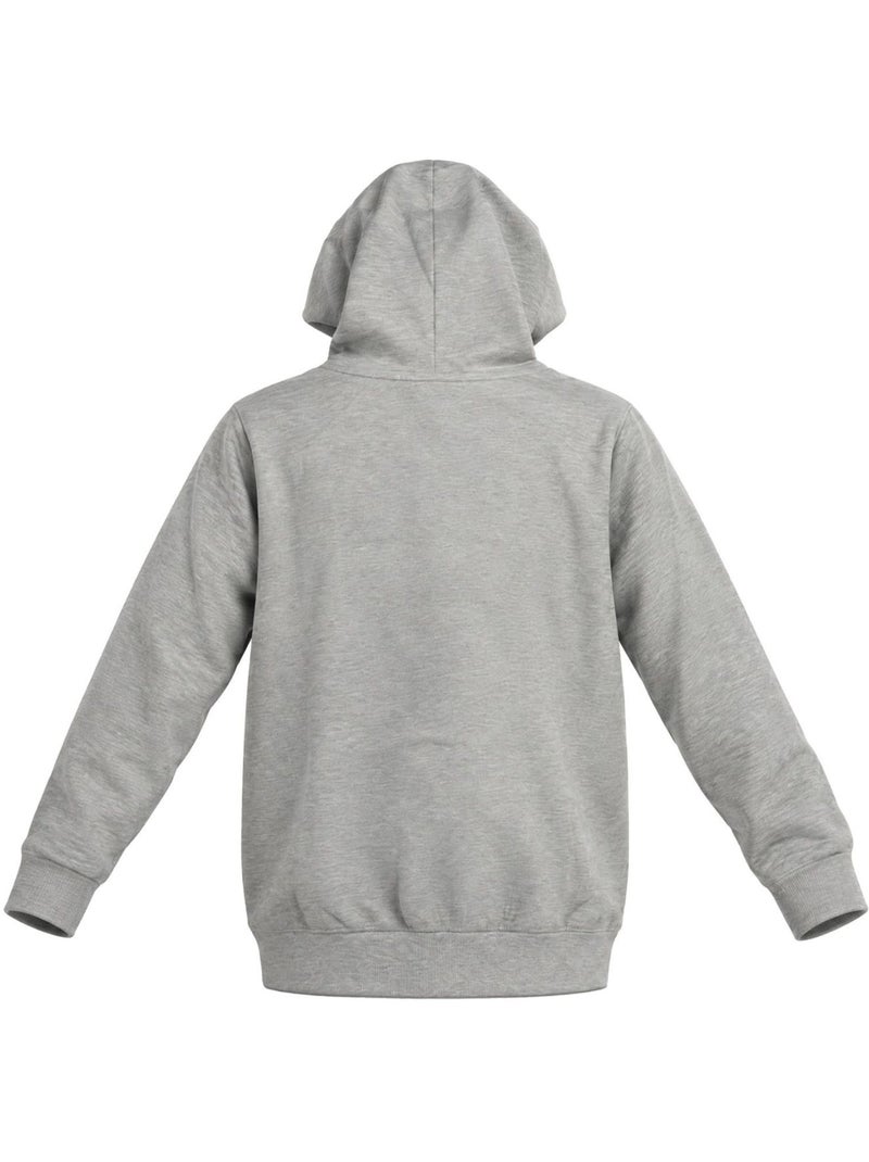Sweat zippé à capuche junior en french terry imprimé poitrine liam freegun Gris - Kiabi
