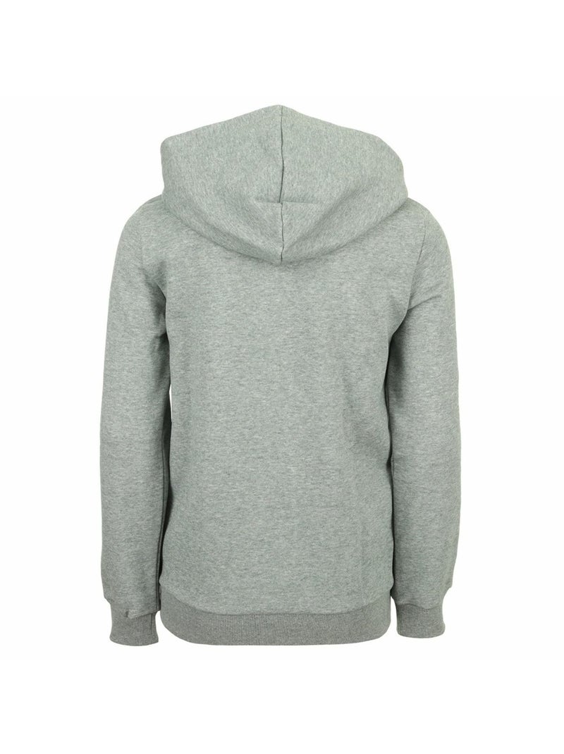 Sweat Zippé à Capuche Puma ESS Big Logo Gris - Kiabi