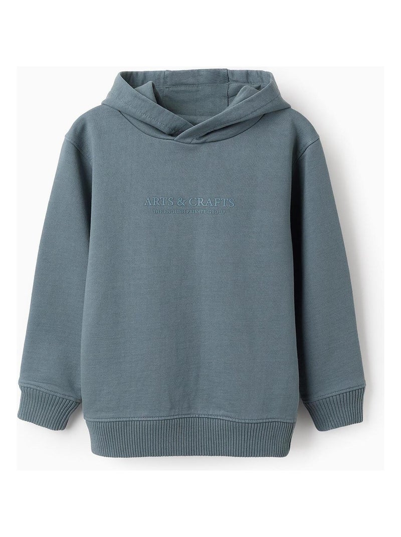 Sweatshirt 100% coton, à capuche NOVEAUX NATURE Bleu clair - Kiabi